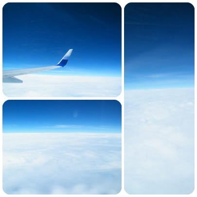 1356108866