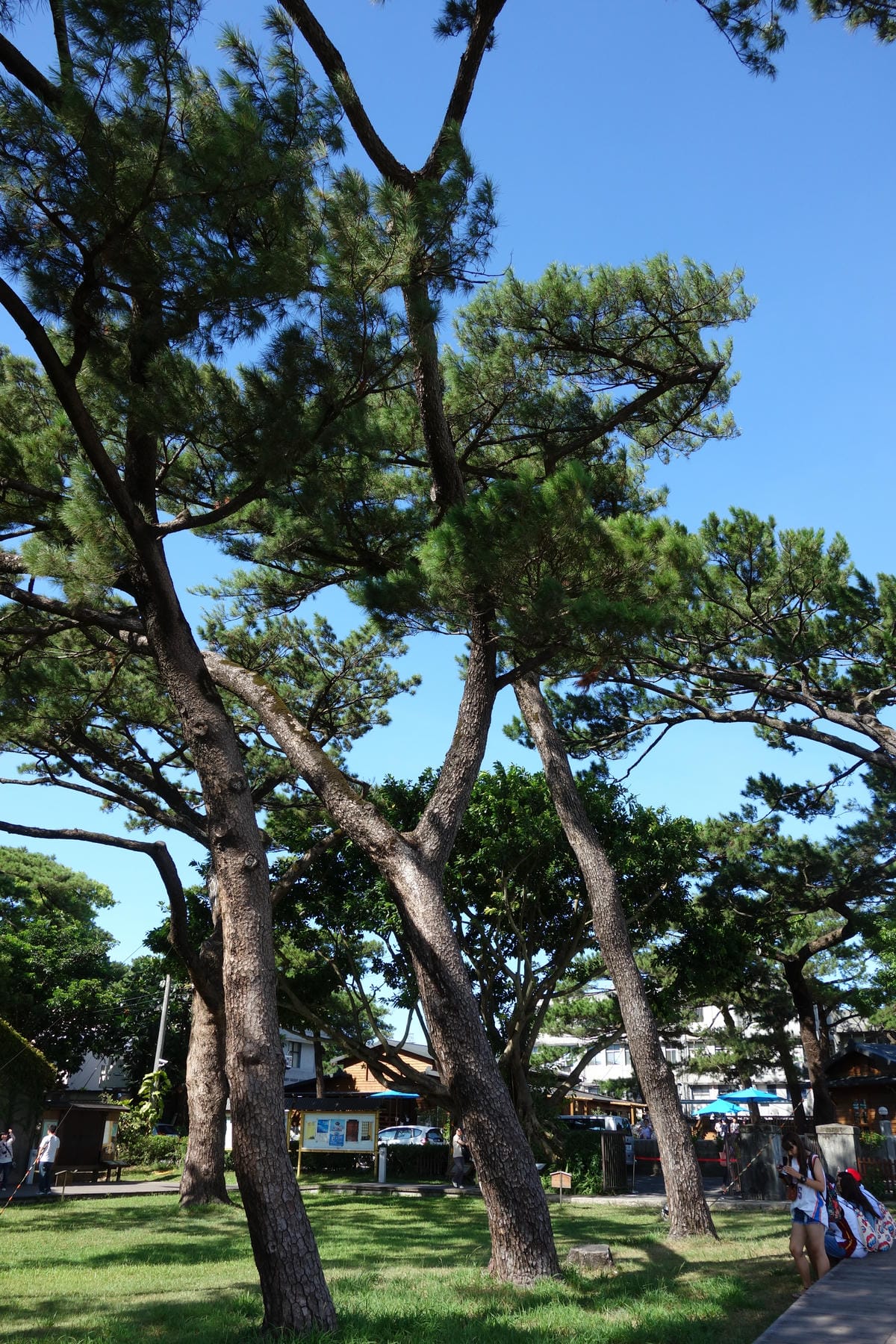 2014花蓮行Day1 2014花蓮行Day1