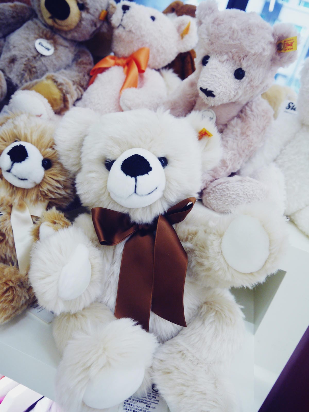 Steiff Coffee Steiff Coffee