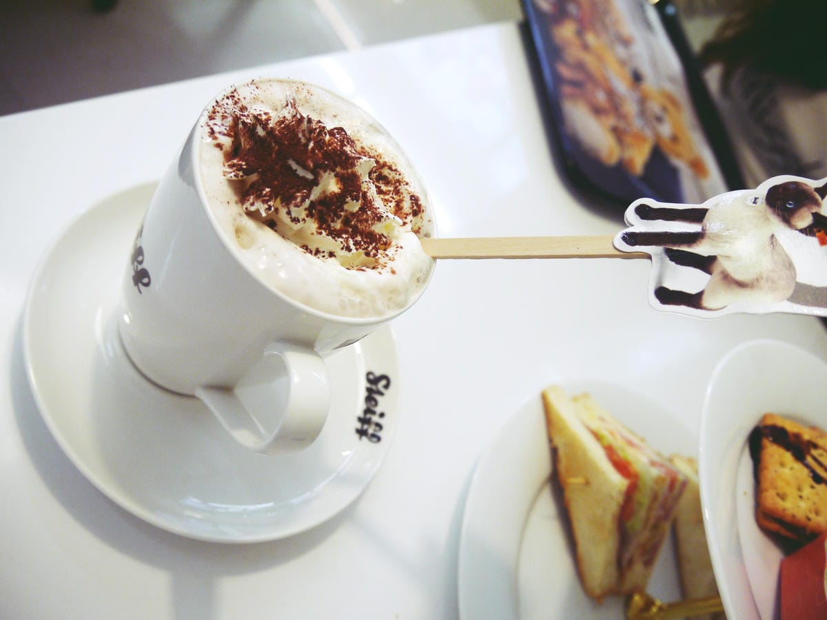 Steiff Coffee Steiff Coffee
