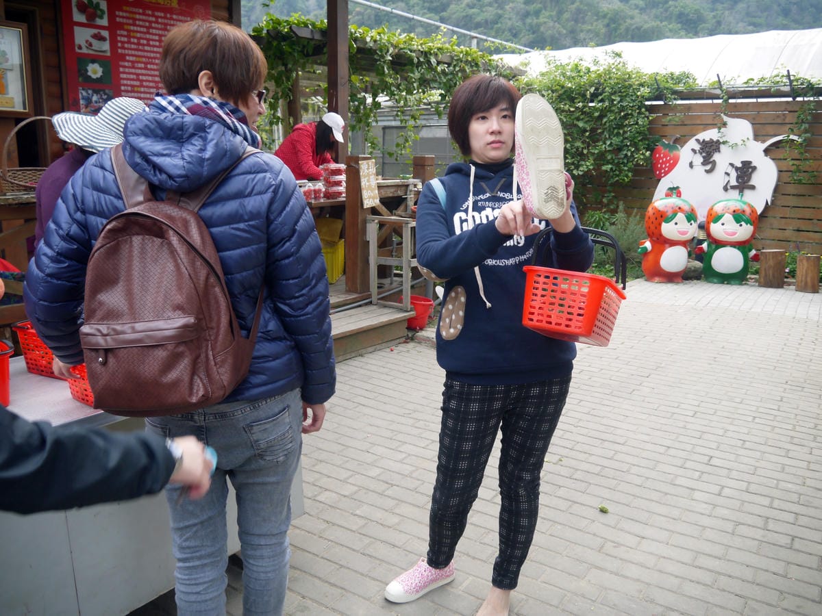 採草莓記 採草莓記