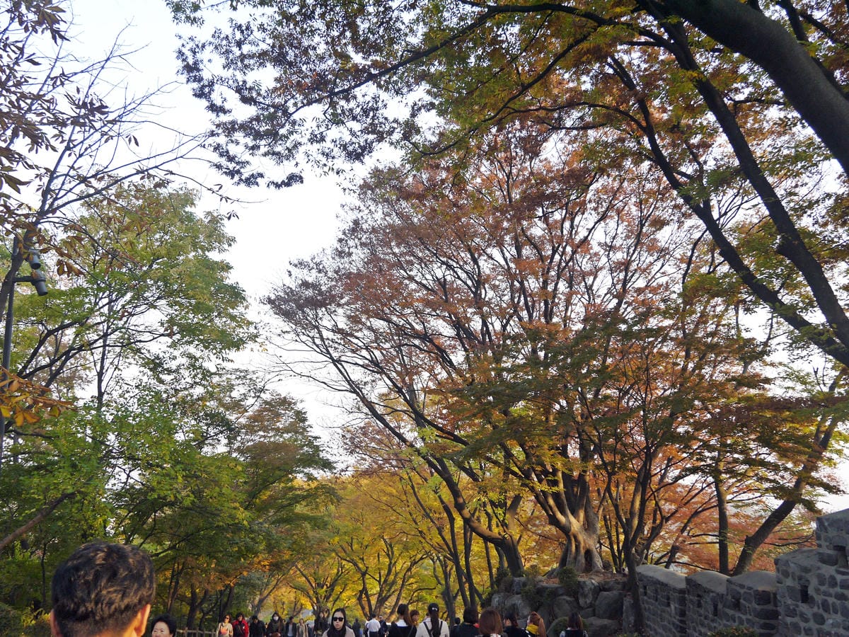2015韓國旅遊Day1 2015韓國旅遊Day1