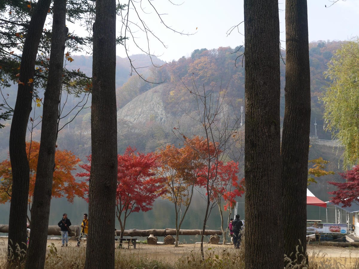 2015韓國旅遊Day3 2015韓國旅遊Day3