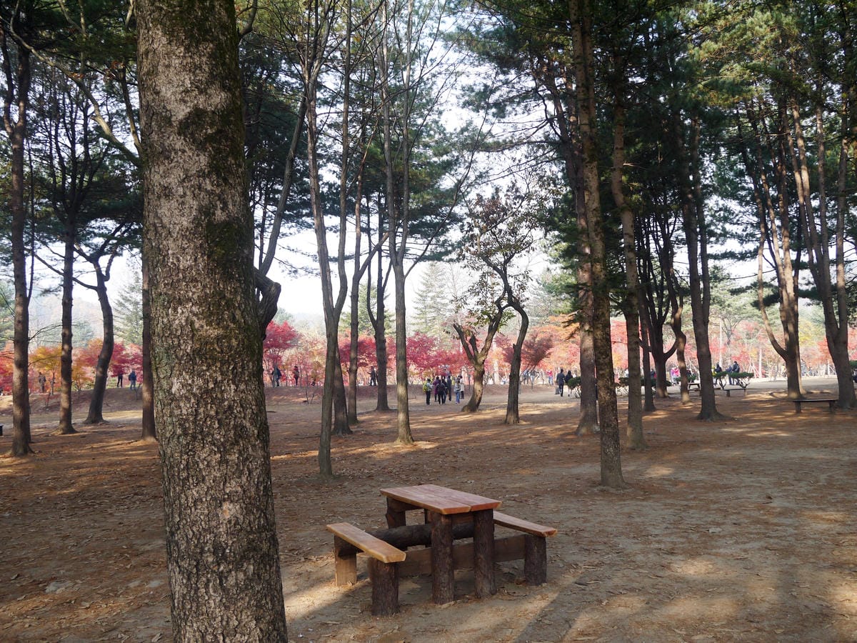 2015韓國旅遊Day3 2015韓國旅遊Day3