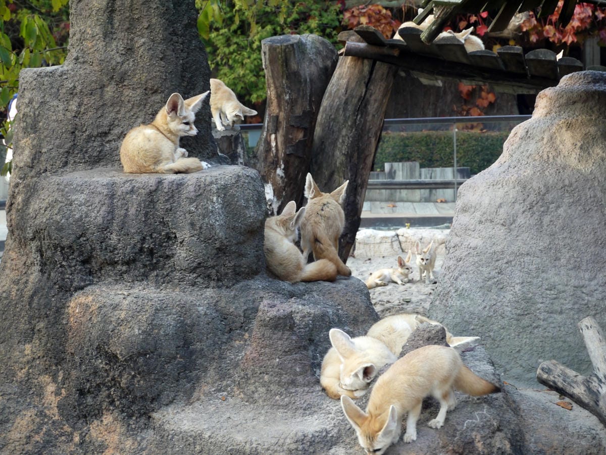 2015韓國旅遊Day3 2015韓國旅遊Day3