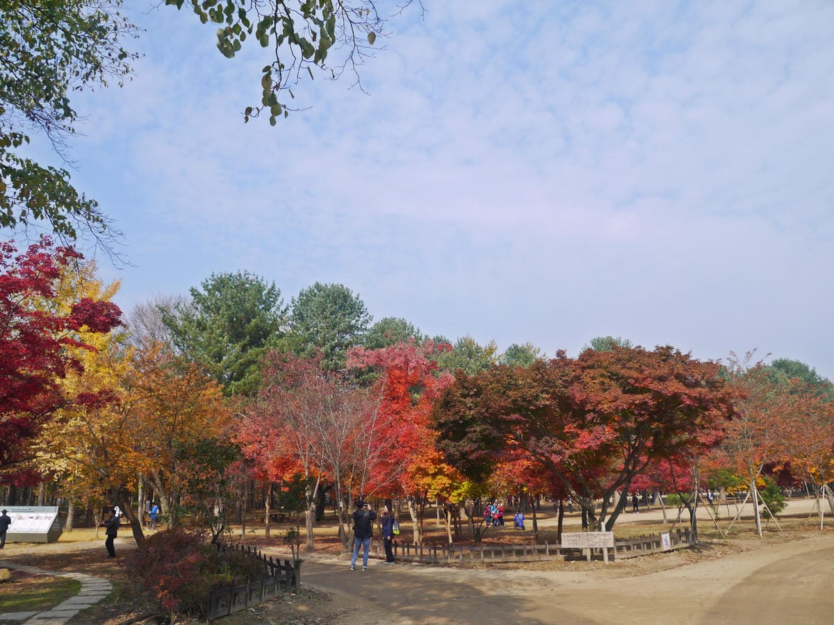 2015韓國旅遊Day3 2015韓國旅遊Day3