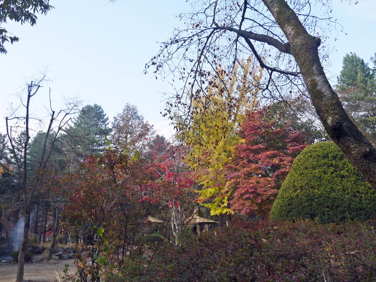 2015韓國旅遊Day3 2015韓國旅遊Day3
