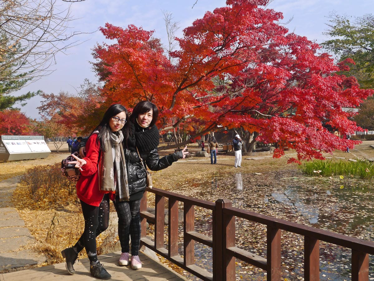 2015韓國旅遊Day3 2015韓國旅遊Day3