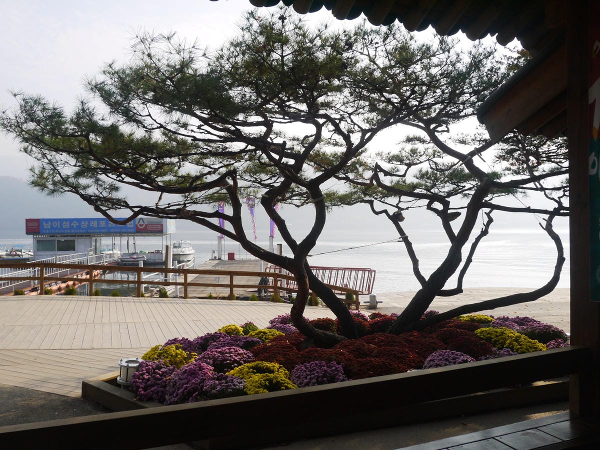 2015韓國旅遊Day3 2015韓國旅遊Day3