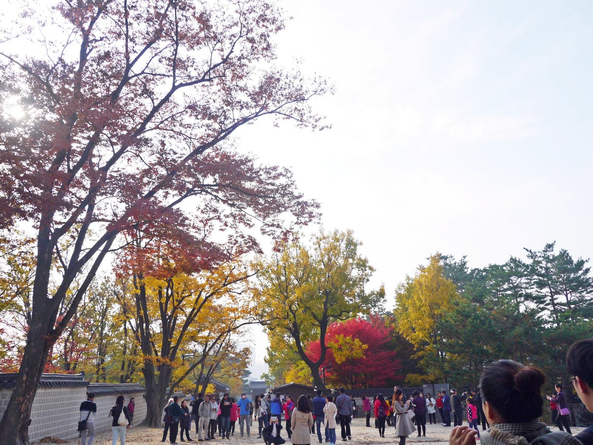 2015韓國旅遊Day4 2015韓國旅遊Day4