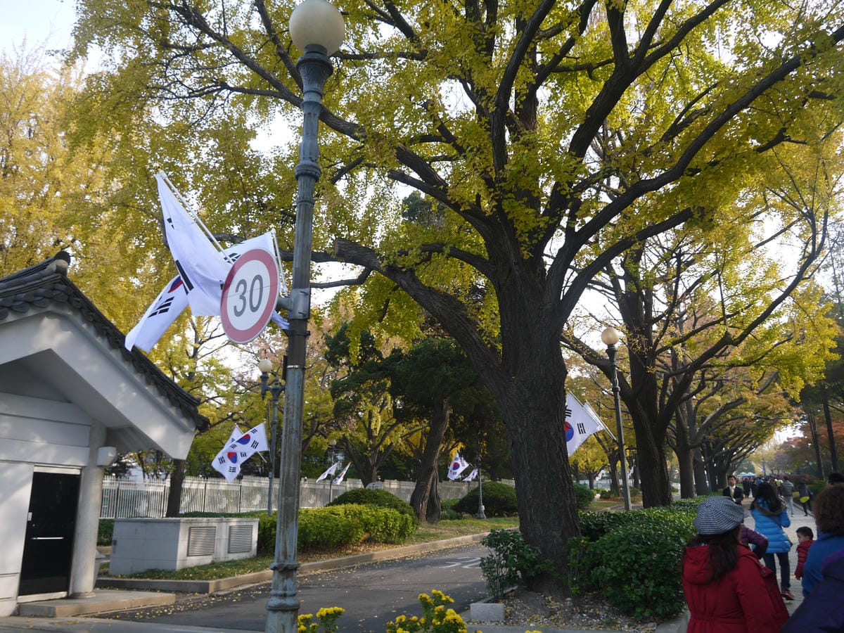 2015韓國旅遊Day4 2015韓國旅遊Day4