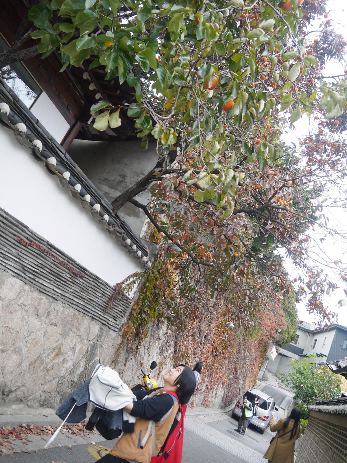 2015韓國旅遊Day4 2015韓國旅遊Day4