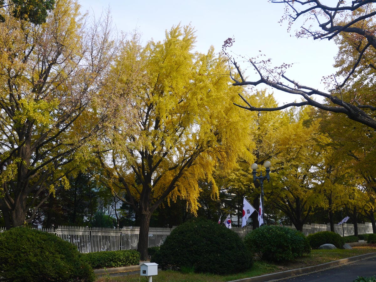 2015韓國旅遊Day4 2015韓國旅遊Day4