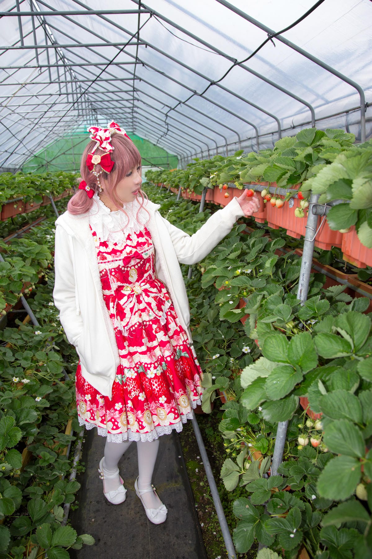 內湖草莓園聚會 內湖草莓園聚會