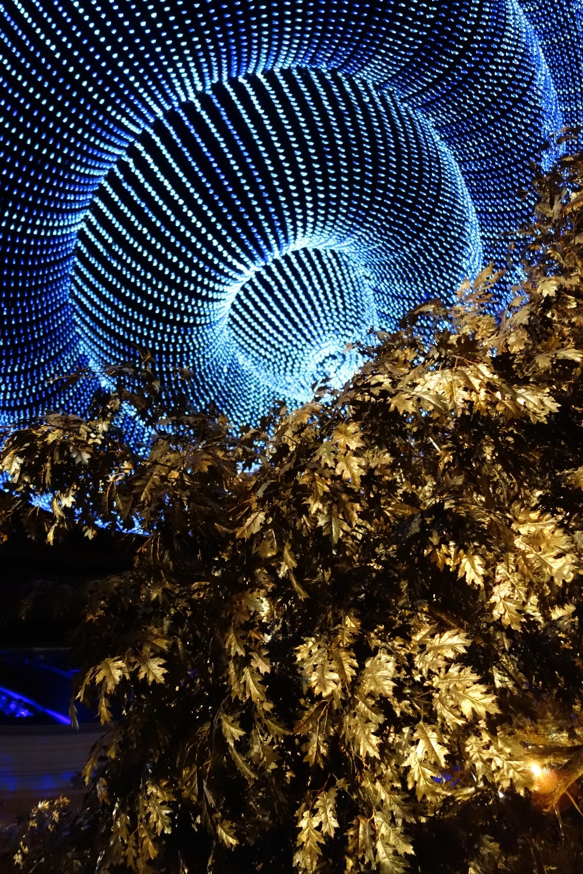 永利酒店 Wynn Macau
