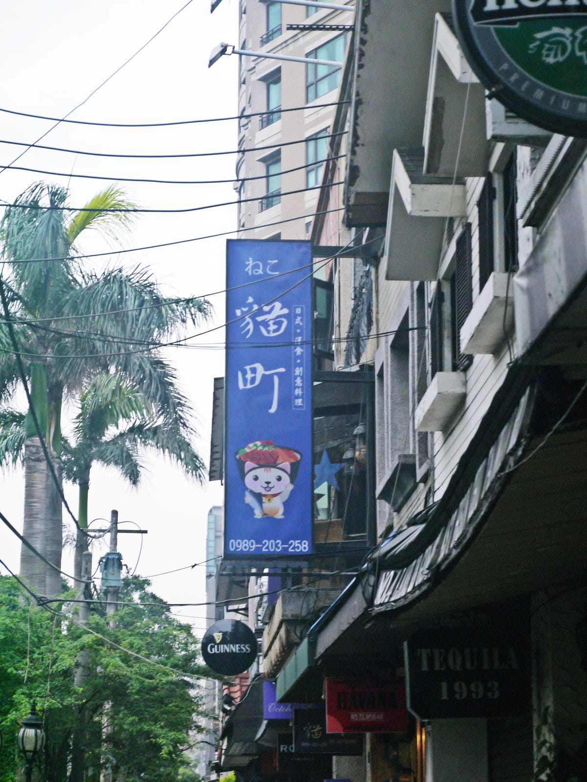 貓町 貓町