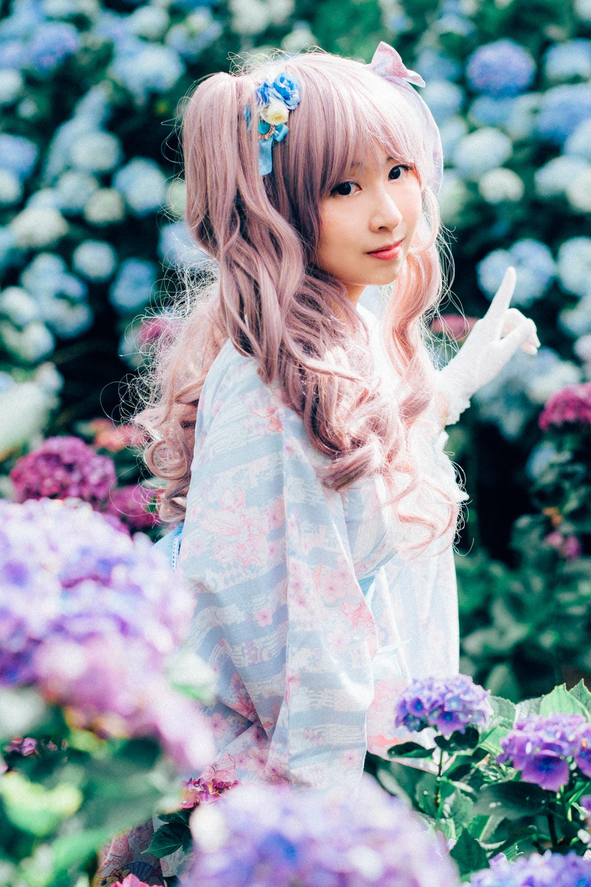 繡球花拍拍 繡球花拍拍