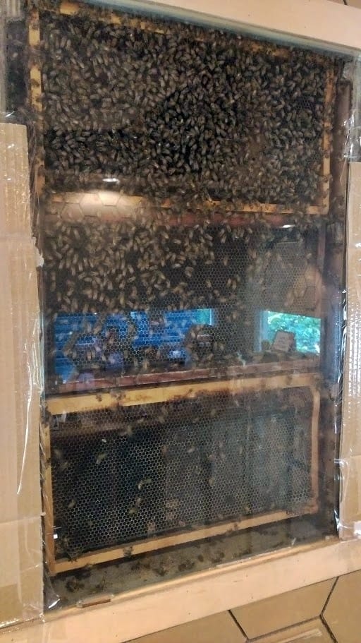 紙箱王 紙箱王