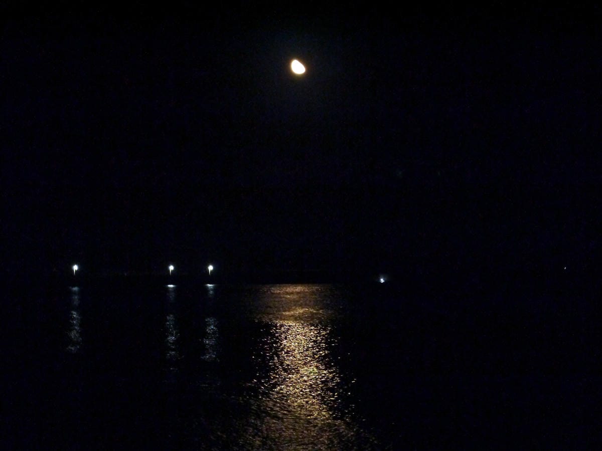 2016花蓮兩天一夜 2016花蓮兩天一夜