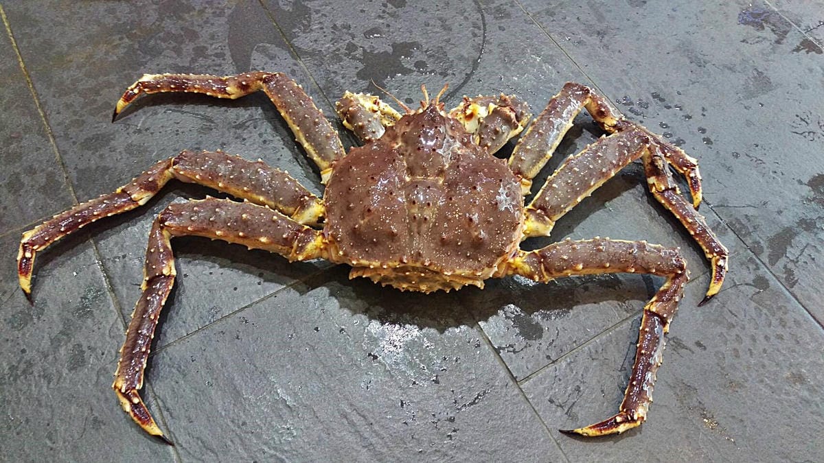 新莊富基時尚婚宴會館海鮮餐 新莊富基時尚婚宴會館海鮮餐