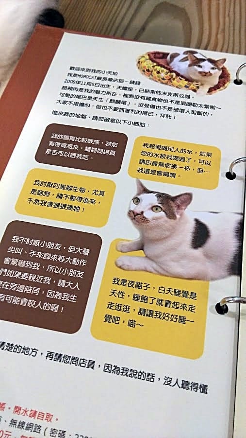 摸摸貓咖啡館