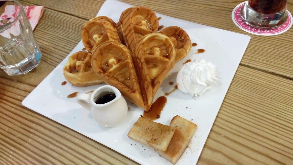 摸摸貓咖啡館