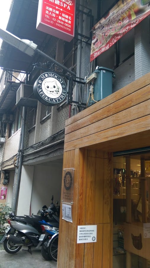 摸摸貓咖啡館