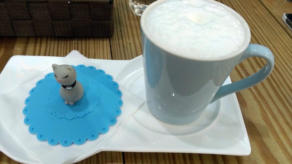 摸摸貓咖啡館