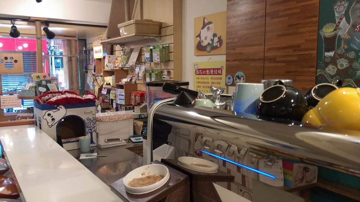 摸摸貓咖啡館