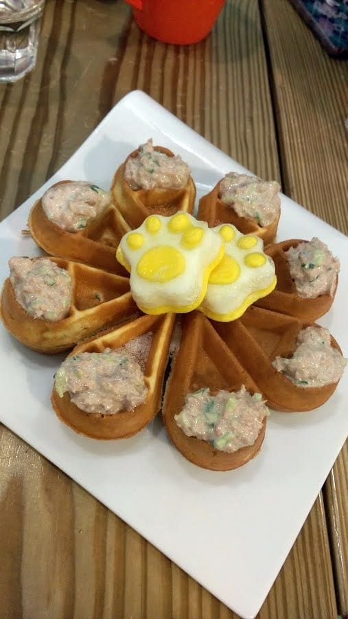 摸摸貓咖啡館