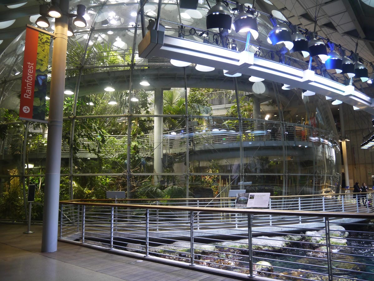 California Academy of Sciences