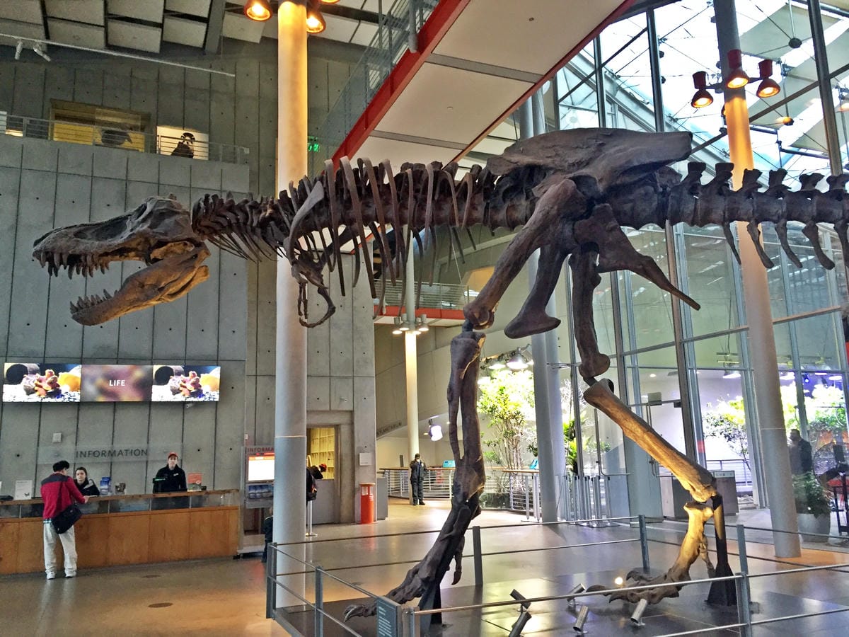 California Academy of Sciences