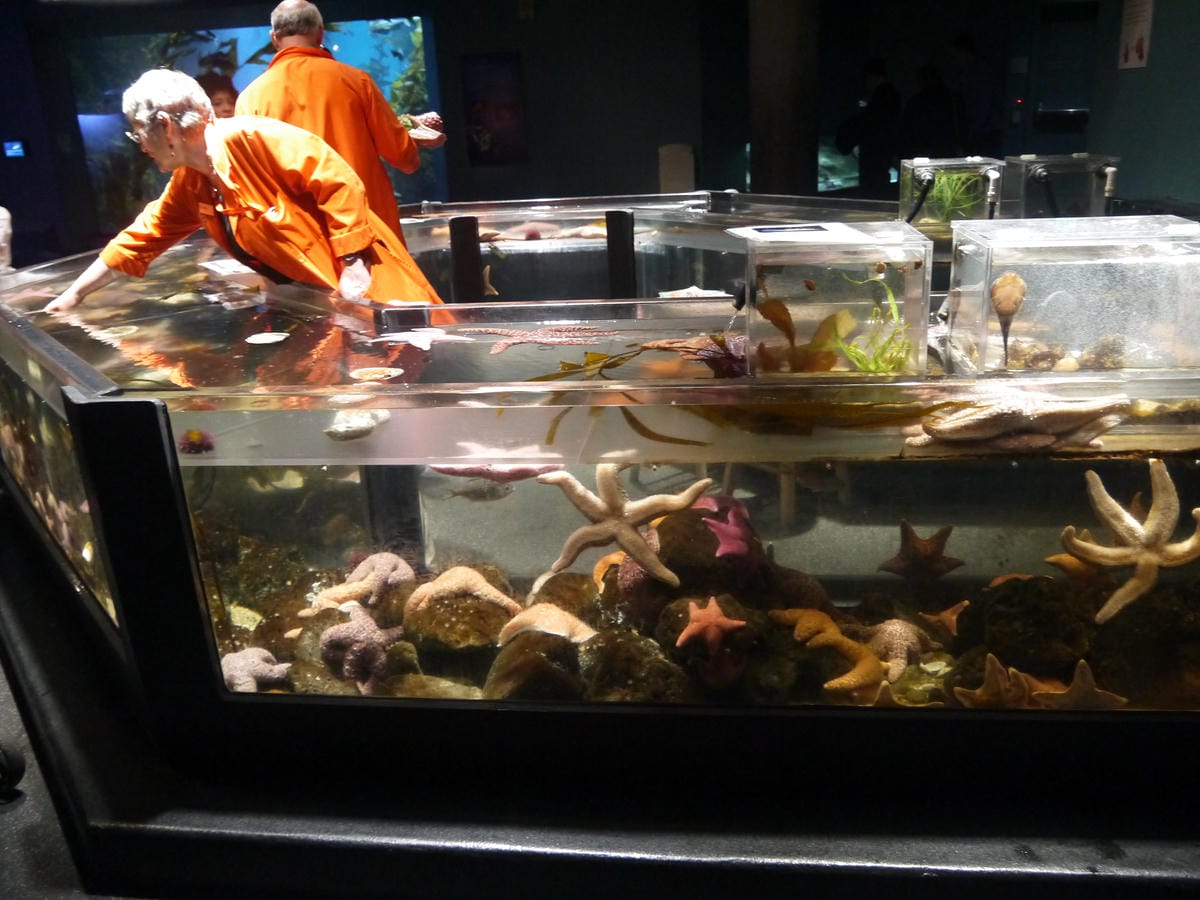 California Academy of Sciences
