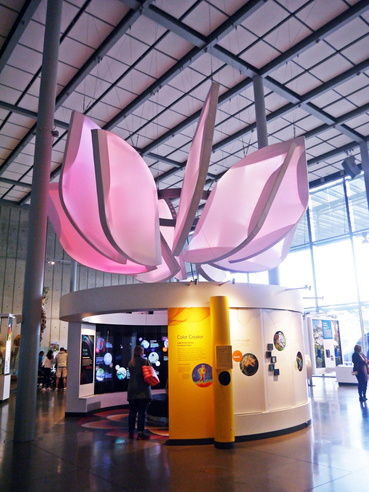 California Academy of Sciences