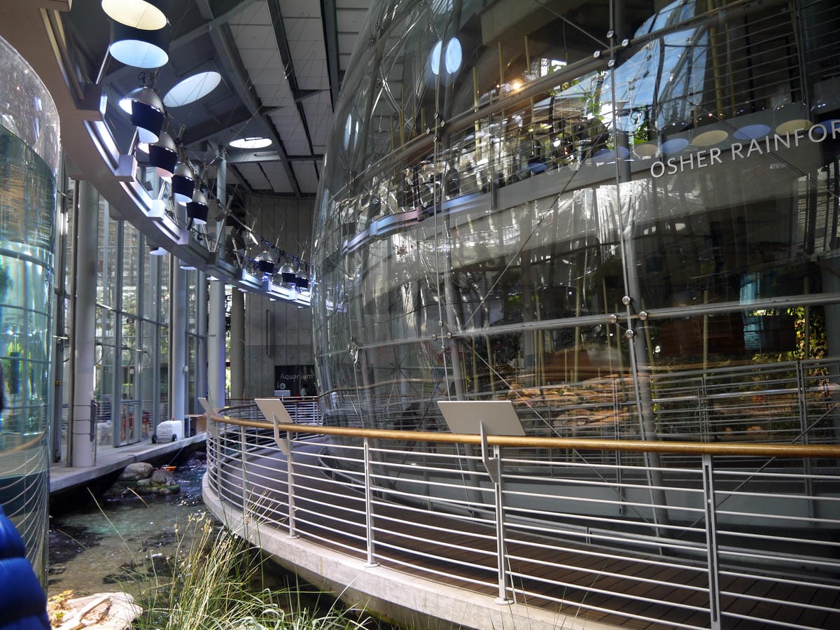 California Academy of Sciences