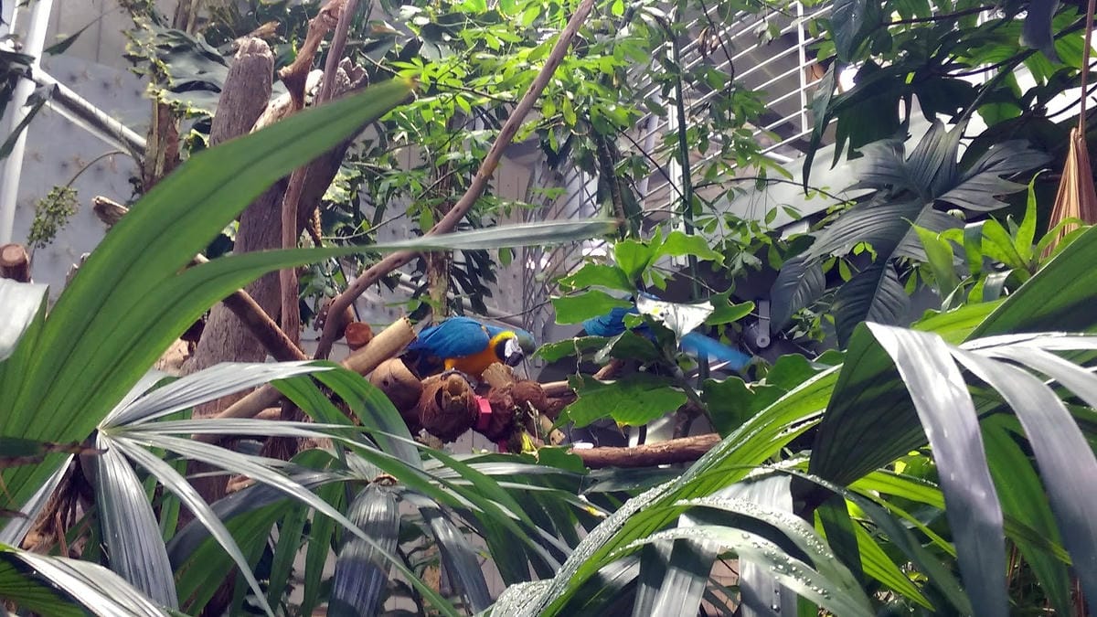 California Academy of Sciences