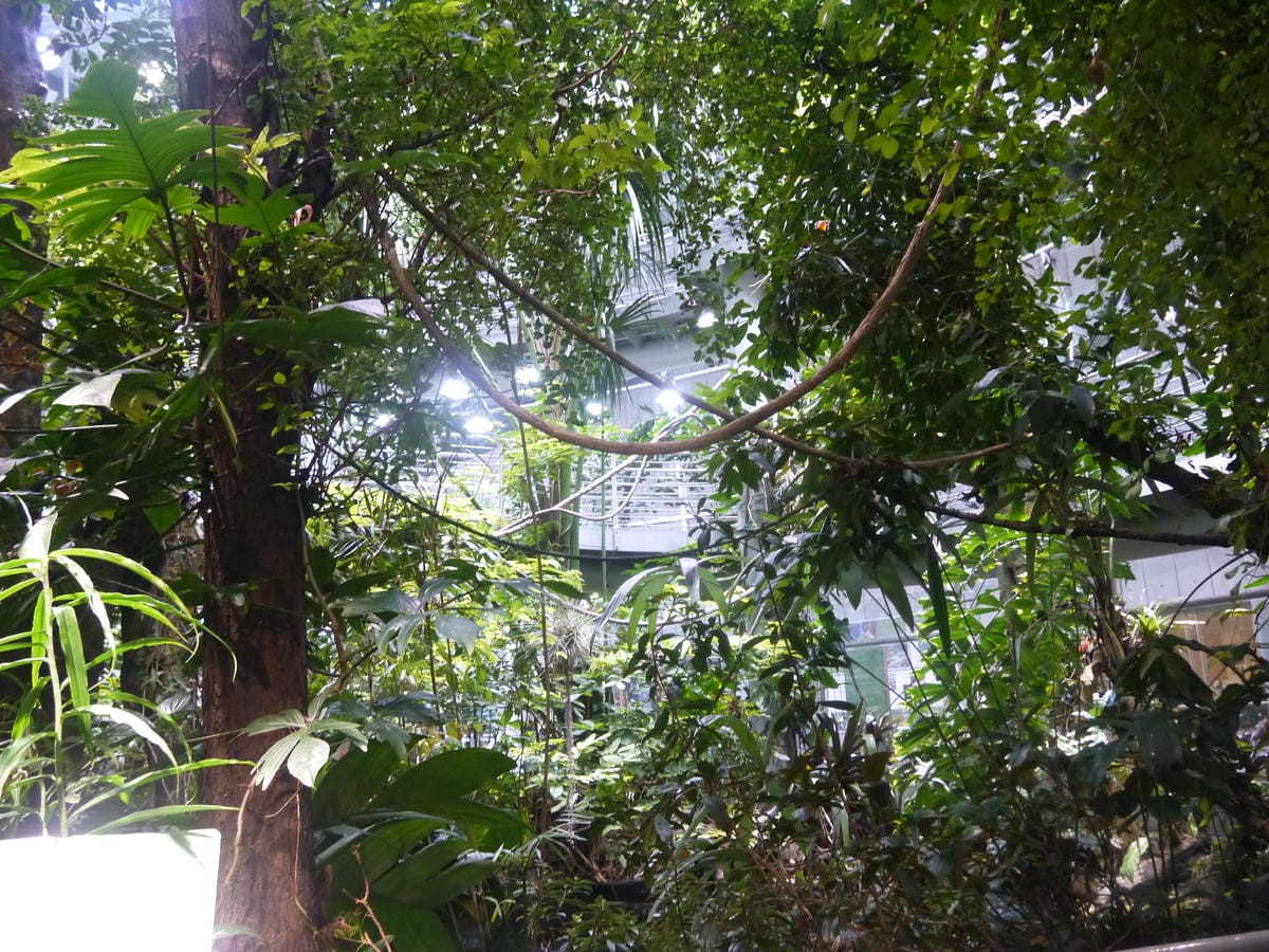 California Academy of Sciences