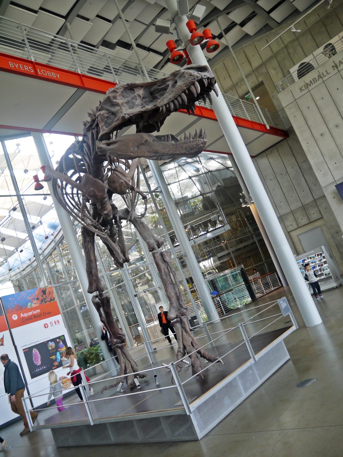 California Academy of Sciences