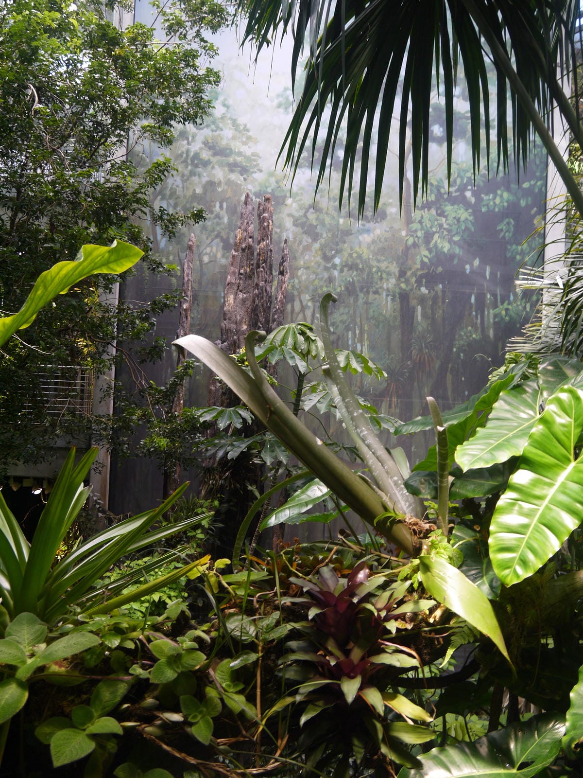 California Academy of Sciences