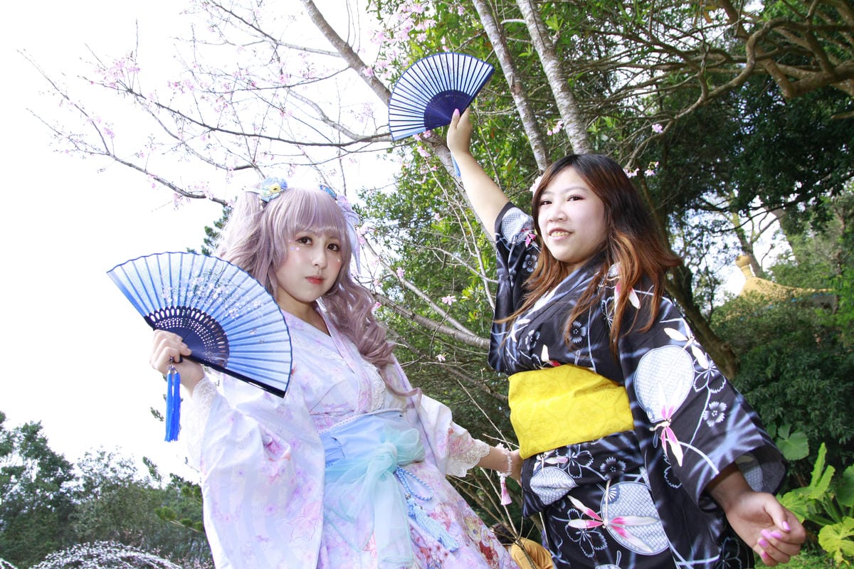 陽明山櫻花野餐