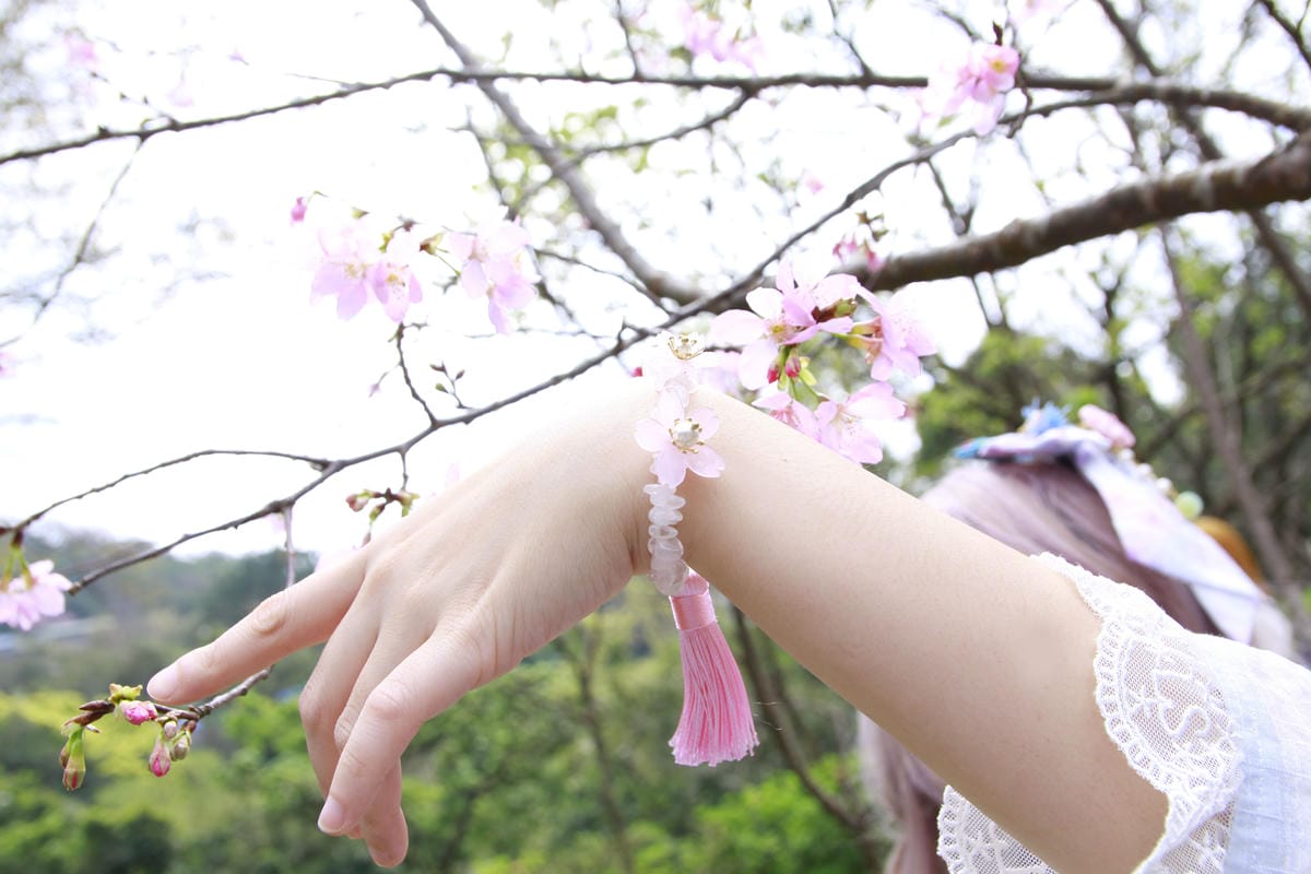 陽明山櫻花野餐