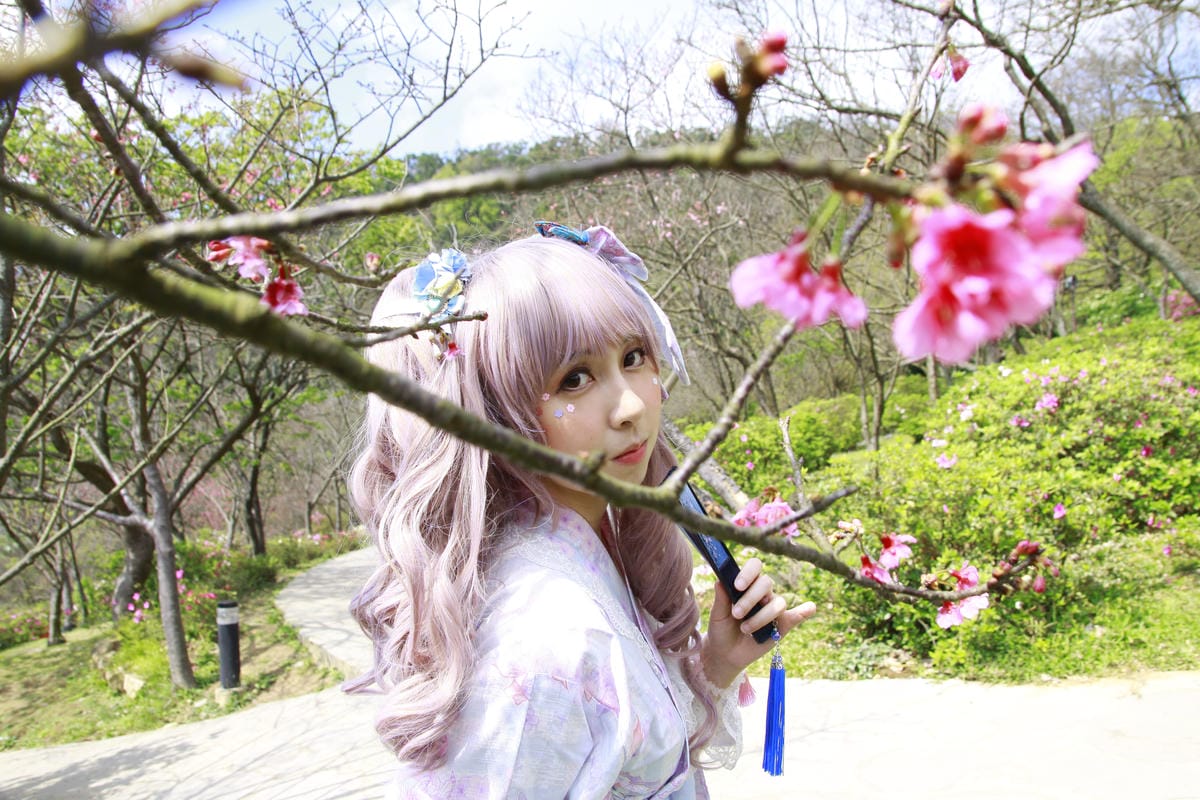 陽明山櫻花野餐