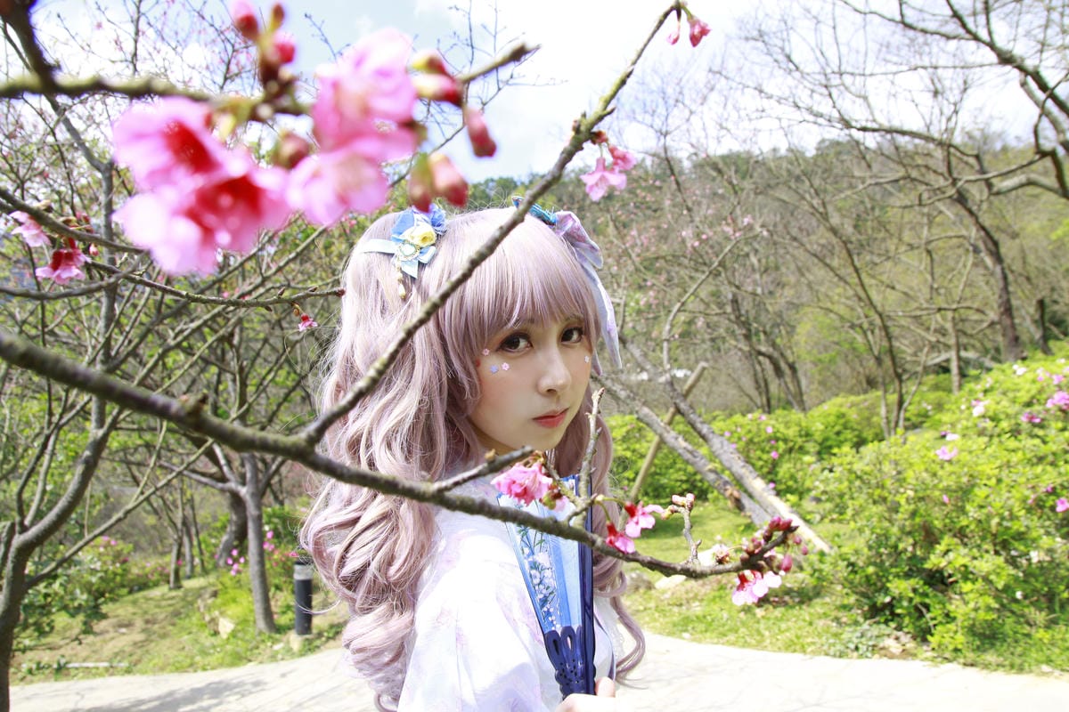 陽明山櫻花野餐