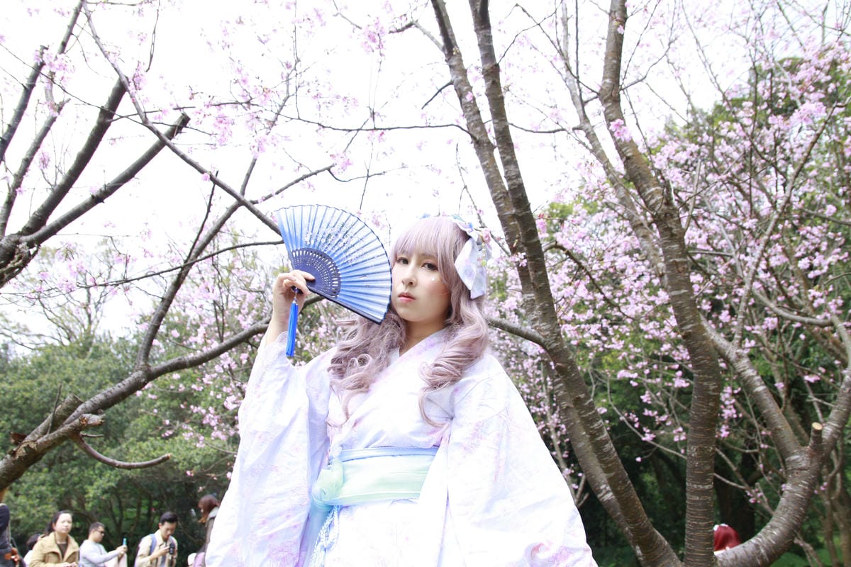 陽明山櫻花野餐