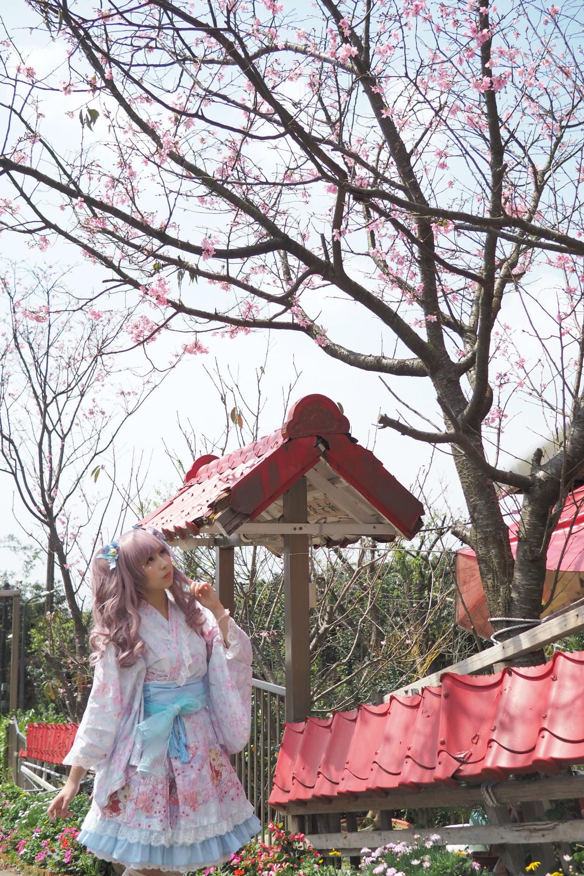 陽明山櫻花野餐