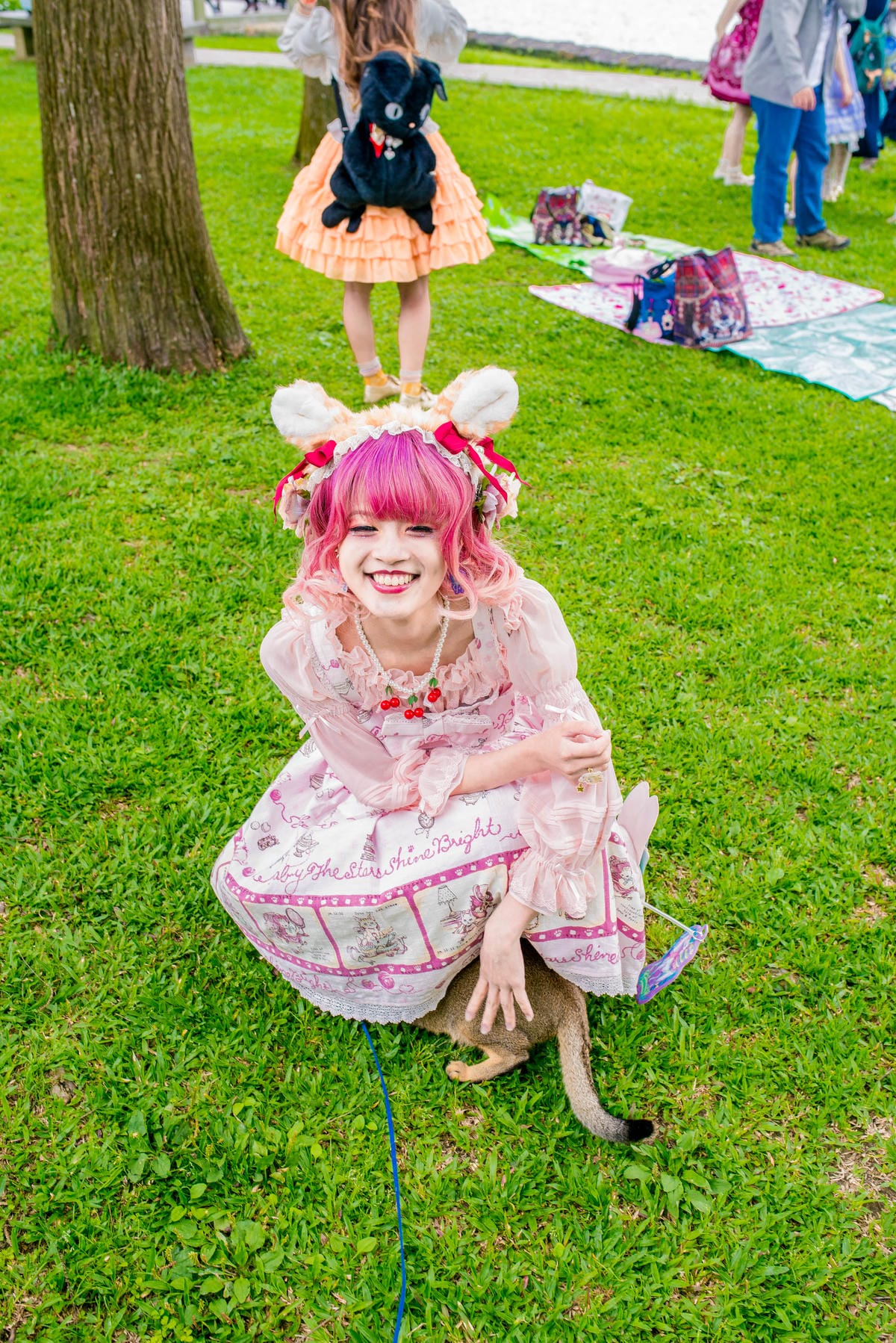 花見。湖畔野餐聚 花見。湖畔野餐聚