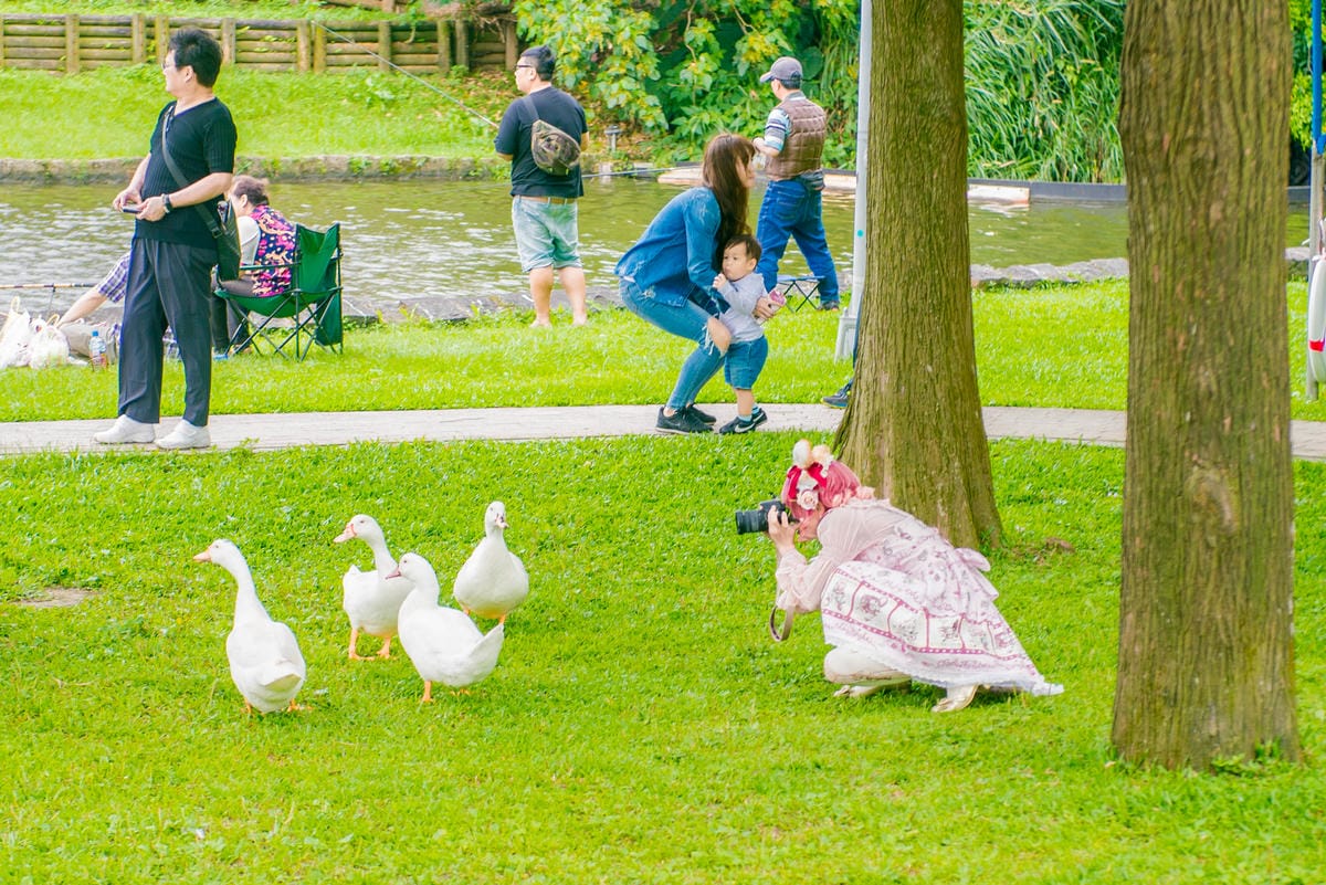 花見。湖畔野餐聚 花見。湖畔野餐聚