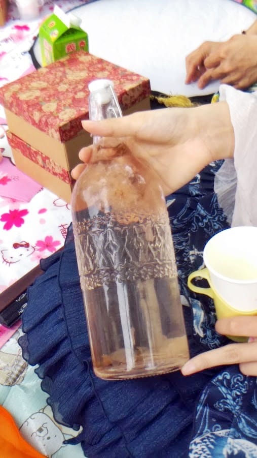 花見。湖畔野餐聚 花見。湖畔野餐聚