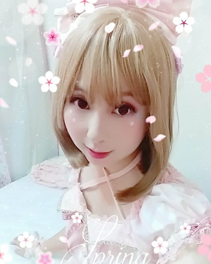 花見。湖畔野餐聚 花見。湖畔野餐聚