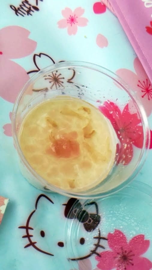 花見。湖畔野餐聚 花見。湖畔野餐聚